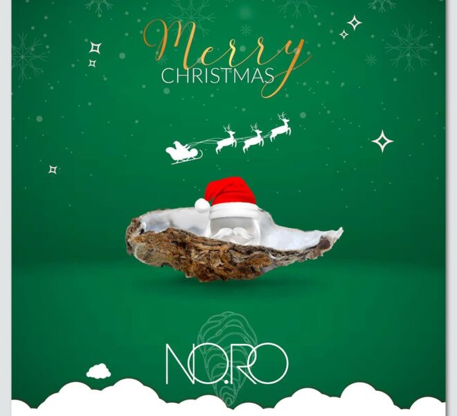 reclam_studio_clienti_noro natale